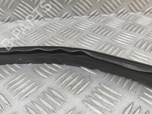 Gummiliste TESLA MODEL Y (5YJY) EV Rear-Wheel Drive | BP33369897C142 - Image 7