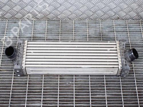 Used Intercooler FORD TRANSIT V363 Platform/Chassis (FED, FFD) 2.0 EcoBlue (130 hp) 6756803