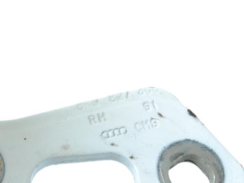 Hinge/Door check strap AUDI A4 B8 Avant (8K5) S4 quattro | BP30242233C146 