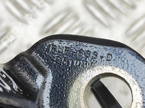 Hinge/Door check strap TESLA MODEL 3 (5YJ3) EV | BP32269361C146 