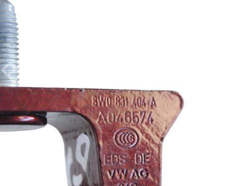 Hinge/Door check strap AUDI Q5 (FYB, FYG) 45 TFSI Mild Hybrid quattro | BP30252677C146