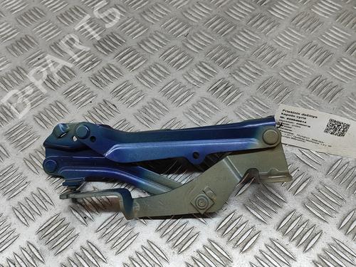 Hinge/Door check strap PEUGEOT 3008 II SUV (MC_, MR_, MJ_, M4_) 1.6 BlueHDi 120 | BP25218927C146