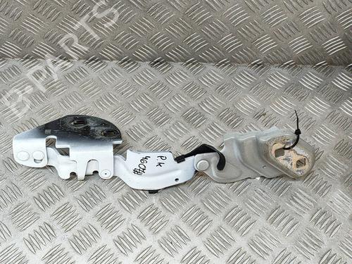 Used Hinge/Door check strap TESLA MODEL 3 (5YJ3) EV AWD (441 hp) 31073035