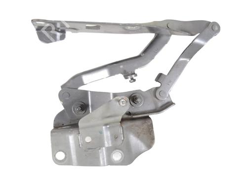 Hinge/Door check strap LAND ROVER DISCOVERY V (L462) 2.0 Sd4 4x4 | BP30251489C146