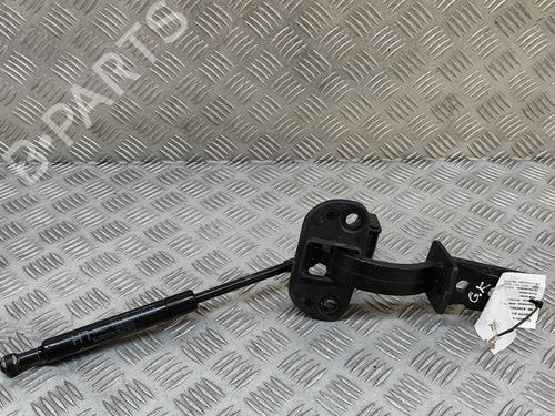 Hinge/Door check strap VOLVO V70 III (135) D5 | BP25788162C146 