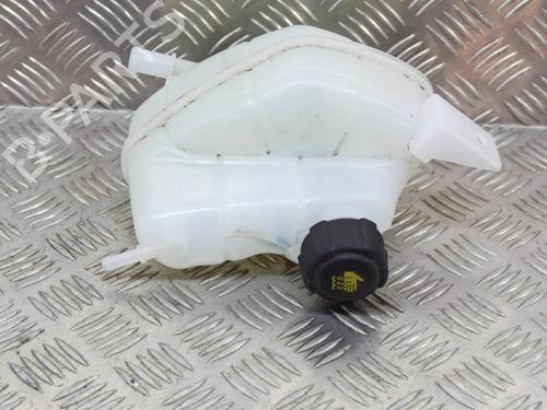 expansion-tank-nissan-qashqai-ii-j11-j11_-2013-27749630 main image
