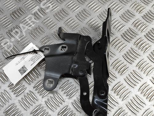Hinge/Door check strap ALFA ROMEO STELVIO (949_) 2.9 Q4 (949.AXG2A, 949.AXH2A, 949.AXS2A) | BP28955050C146 