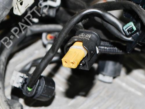 Wiring harness MERCEDES-BENZ E-CLASS (W212) E 220 BlueTEC (212.001) | BP14643979E16 