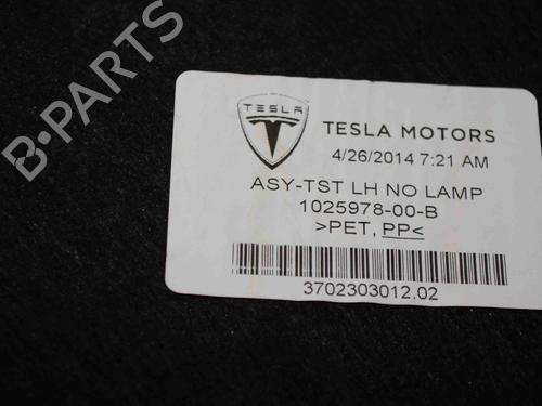 Boot lining TESLA MODEL S (5YJS) 85 | BP30250323I3 