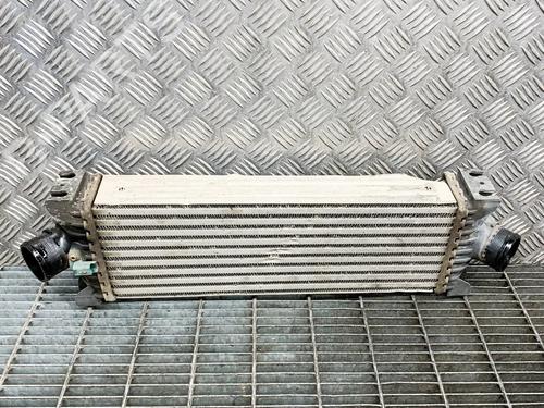 Used Intercooler Intercooler FORD TRANSIT CUSTOM V362 Bus (F3) 2.2 TDCi (100 hp) 33339284 33339284