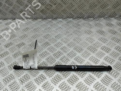 hood-lift-support-audi-a4-b9-8w2-8wc-2015-33797953 main image