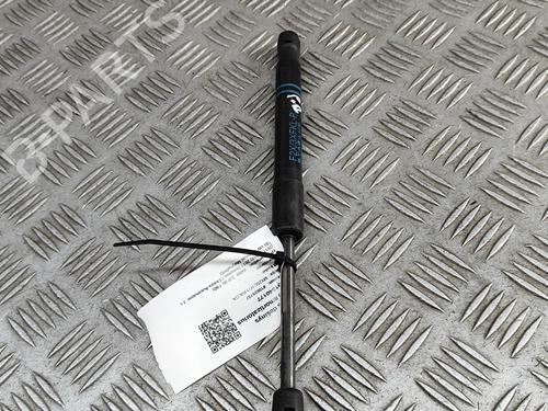 Hood lift support BMW 3 (F30, F80) 330 e | BP28115363C139