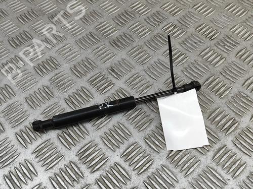 hood-lift-support-porsche-cayman-987-2005-2006-2007-2008-2009-2010-2011-2012-2013-28062295 main image