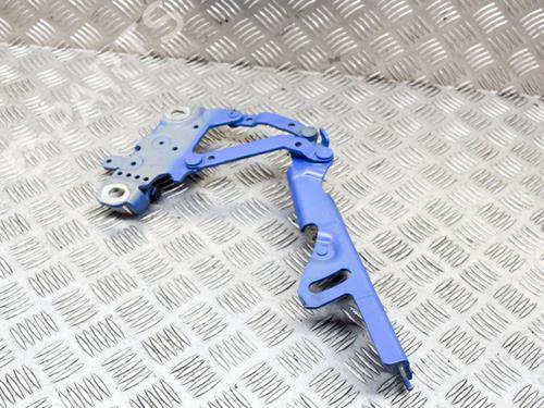 Hinge/Door check strap BMW 3 Touring (F31) 335 d xDrive | BP14631333C146 