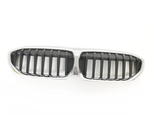 Grill BMW 5 (G30, F90) M5 (600 hp) 30220307