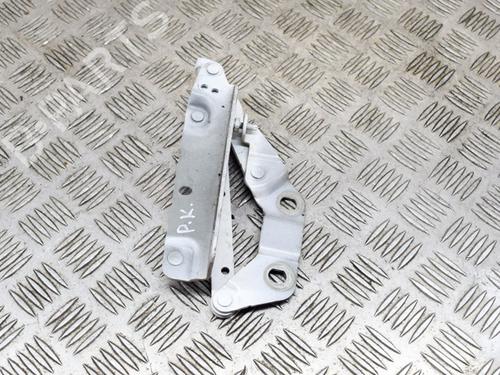 Hinge/Door check strap LAND ROVER RANGE ROVER EVOQUE (L538) 2.0 D 4x4 | BP14632816C146 