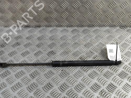 Used Tailgate lift support VW TIGUAN (5N_) 2.0 TDI 4motion (140 hp) 27217246