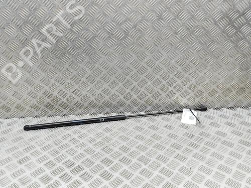 Used Hood lift support AUDI A5 (8T3) RS5 quattro (450 hp) 30463039