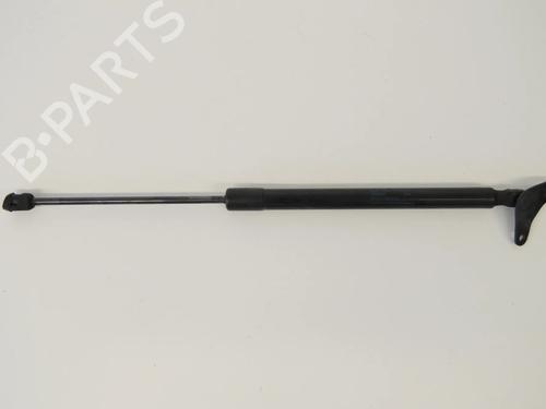 Used Tailgate lift support VW TIGUAN (5N_) 2.0 TFSI 4motion (200 hp) 30241808