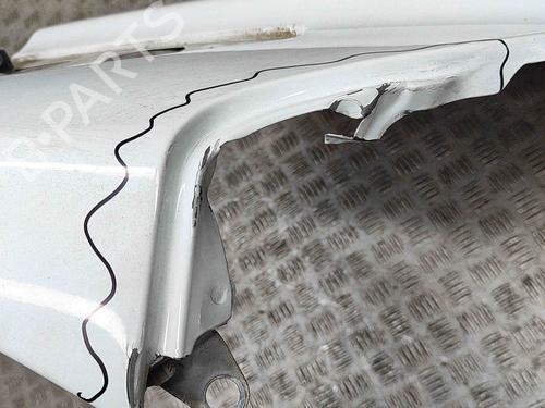 Forkjerm venstre FORD TRANSIT CUSTOM V362 Van (FY, FZ) 2.2 TDCi | BP29890744C41