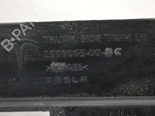 Other TESLA MODEL S (5YJS) 75 | BP20231409O1