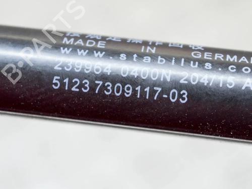 Hood lift support BMW 5 (F10) 520 d | BP14627047C139