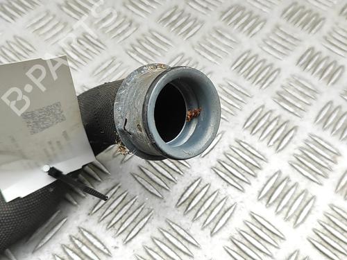 Pipe PORSCHE 911 (991) 3.8 Carrera S | BP33375761M125 - Image 5