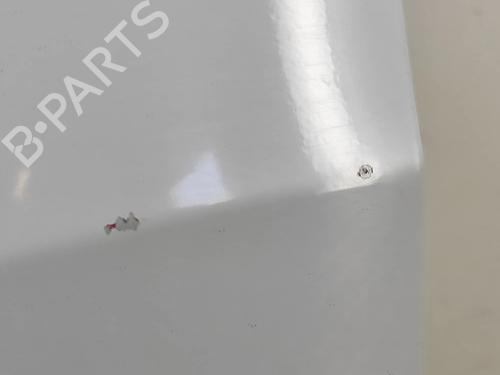 Left front door OPEL VIVARO B Van (X82) 1.6 CDTI (05) | BP18016349C2 