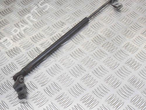 Used Hood lift support TESLA MODEL S (5YJS) P100D AWD (772 hp) 14623640