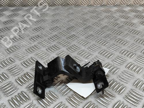 Hinge/Door check strap BMW X6 (E71, E72) xDrive 40 d | BP19937095C146 
