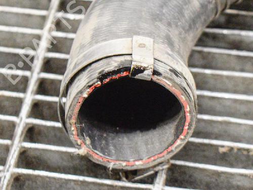 Intercooler pipe LAND ROVER RANGE ROVER SPORT I (L320) 3.0 D 4x4 | BP14610122M127 