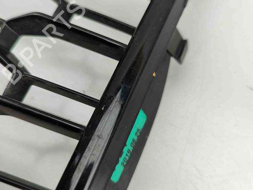 Grille AUDI A3 Sportback (8VA, 8VF) RS3 quattro | BP29404132C40 