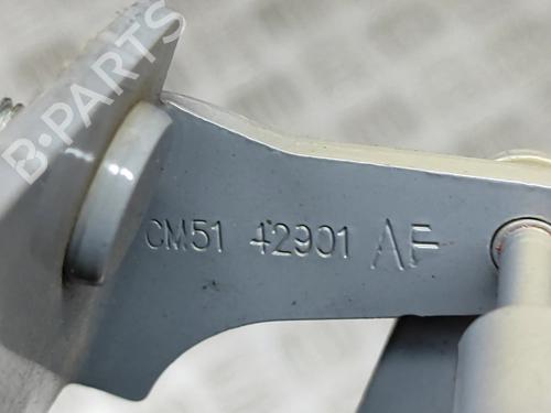 Hinge/Door check strap FORD PUMA (J2K, CF7) 1.0 EcoBoost mHEV | BP27766984C146 - Image 6