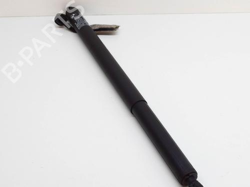 Tailgate lift support BMW 2 Gran Tourer (F46) 218 i | BP14617233C138 