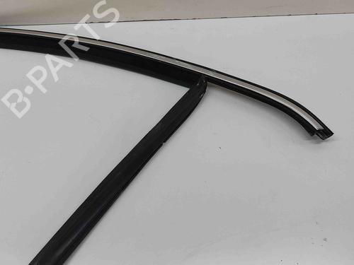Door moulding trim VW PASSAT B7 Variant (365) 1.6 TDI | BP27392771C150 