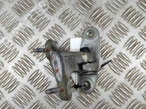 Used Hinge/Door check strap MERCEDES-BENZ C-CLASS T-Model (S204) C 220 CDI (204.202) (170 hp) 18313485