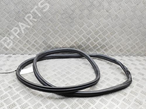 Gummiliste BMW X2 (U10) sDrive 20 i | BP36565058C142 - Image 5