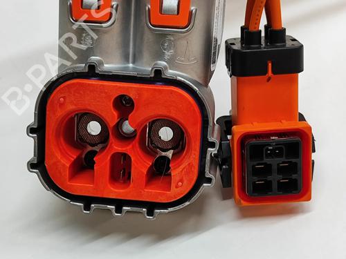 Cable TESLA MODEL Y (5YJY) EV Rear-Wheel Drive | BP30836833E12 