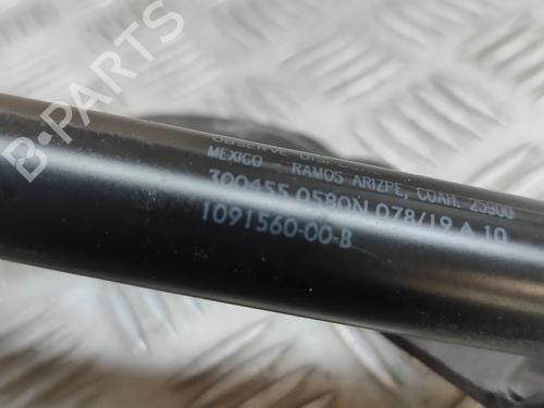 Dørhængsel/Dørbegrænser TESLA MODEL 3 (5YJ3) EV AWD | BP27792024C146 