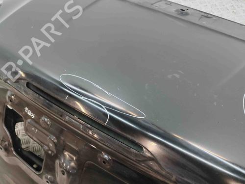 Tailgate RENAULT MEGANE CC (EZ0/1_) 1.6 dCi (EZ00) | BP29336824C6 