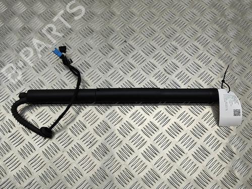Used Tailgate lift support BMW X5 (F15, F85) xDrive 30 d (258 hp) 19501948