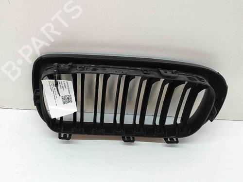 Grille BMW X5 (F15, F85) xDrive 30 d | BP27898718C40