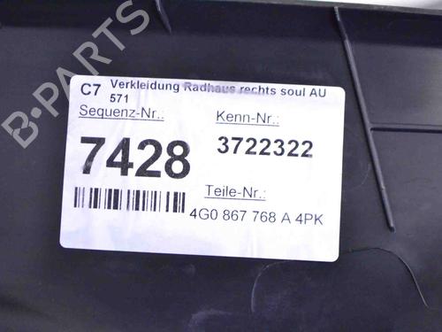 Trittbrett AUDI A6 C7 (4G2, 4GC) 3.0 TDI quattro | BP30227542C149 