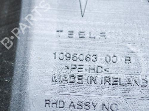 Sprinklertank TESLA MODEL 3 (5YJ3) EV AWD | BP27753380C113