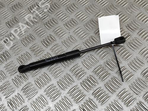 Hood lift support BMW 3 (F30, F80) M3 | BP27799915C139 