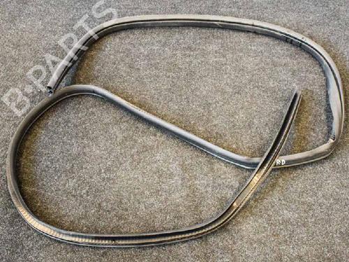 Rubber door seal FORD KUGA II (DM2) 2.0 TDCi 4x4 | BP14662770C142 