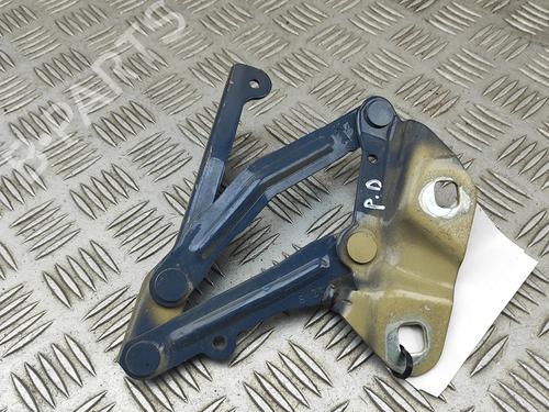 Hinge/Door check strap FORD TRANSIT V363 Van (FCD, FDD) 2.0 EcoBlue | BP30301420C146 