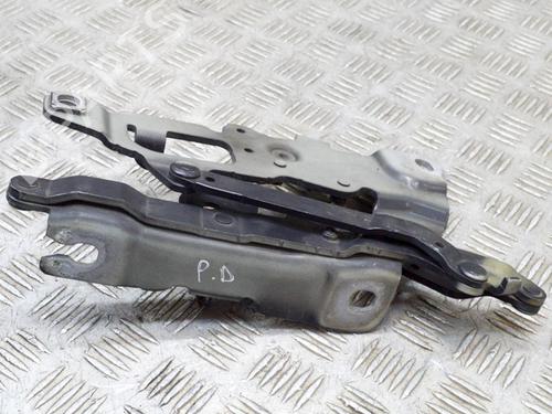 Hinge/Door check strap BMW 5 Touring (F11) 530 d | BP14650363C146 