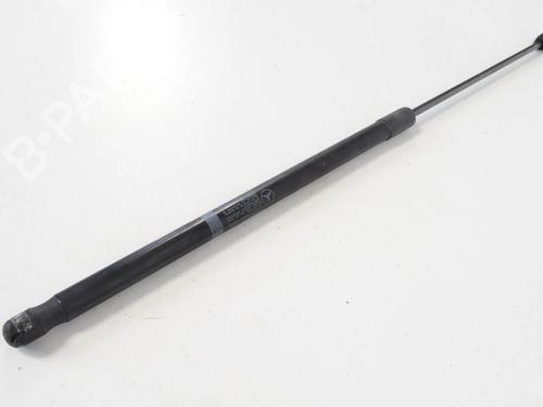 Used Hood lift support MERCEDES-BENZ C-CLASS (W204) C 250 CDI (204.003) (204 hp) 30207459