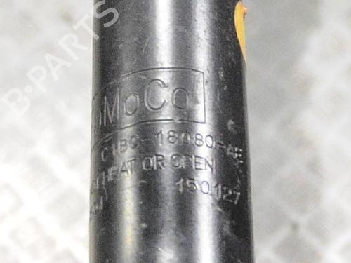 Right rear shock absorber FORD FIESTA VI (CB1, CCN) 1.25 | BP6720754M19 